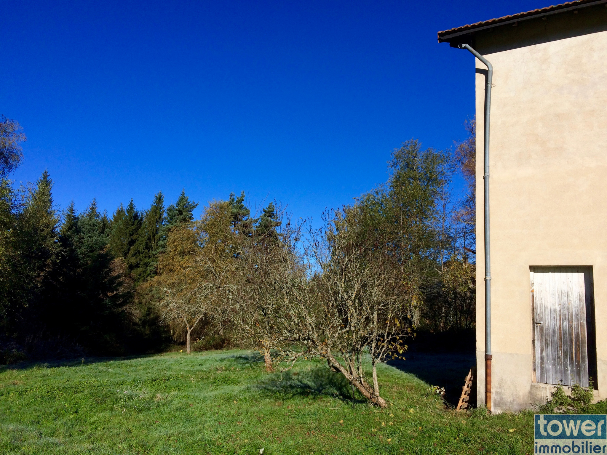 Vente Maison Forestière Sur Terrain