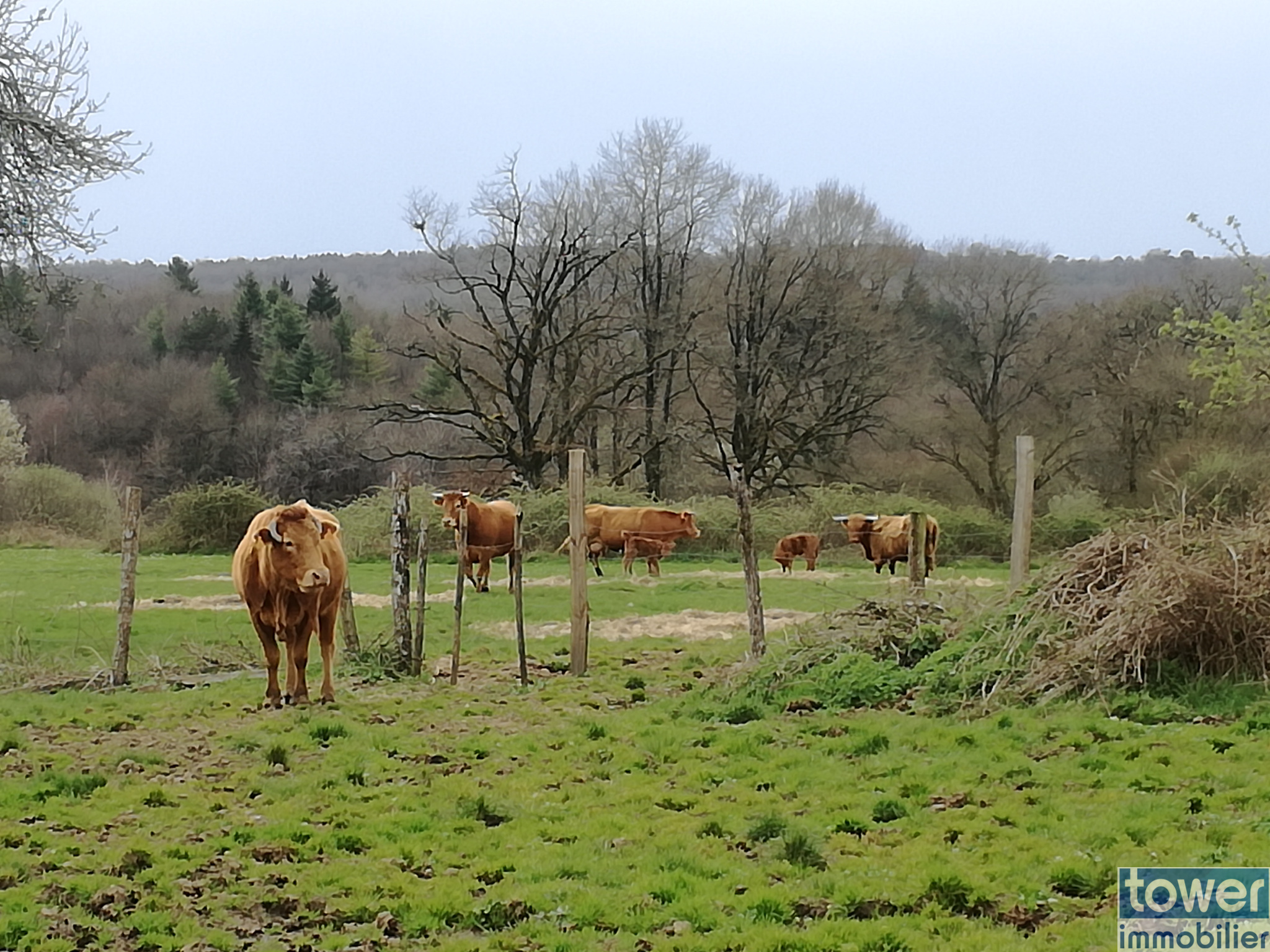 vente-propriete-rurale-de-plus-de-100-hectares-2-5-constructibles