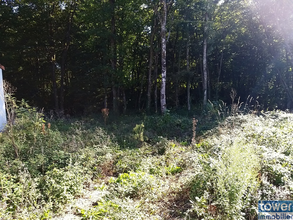 Terrain à bâtir à Pranzac à 11 mn de La Rochefoucauld