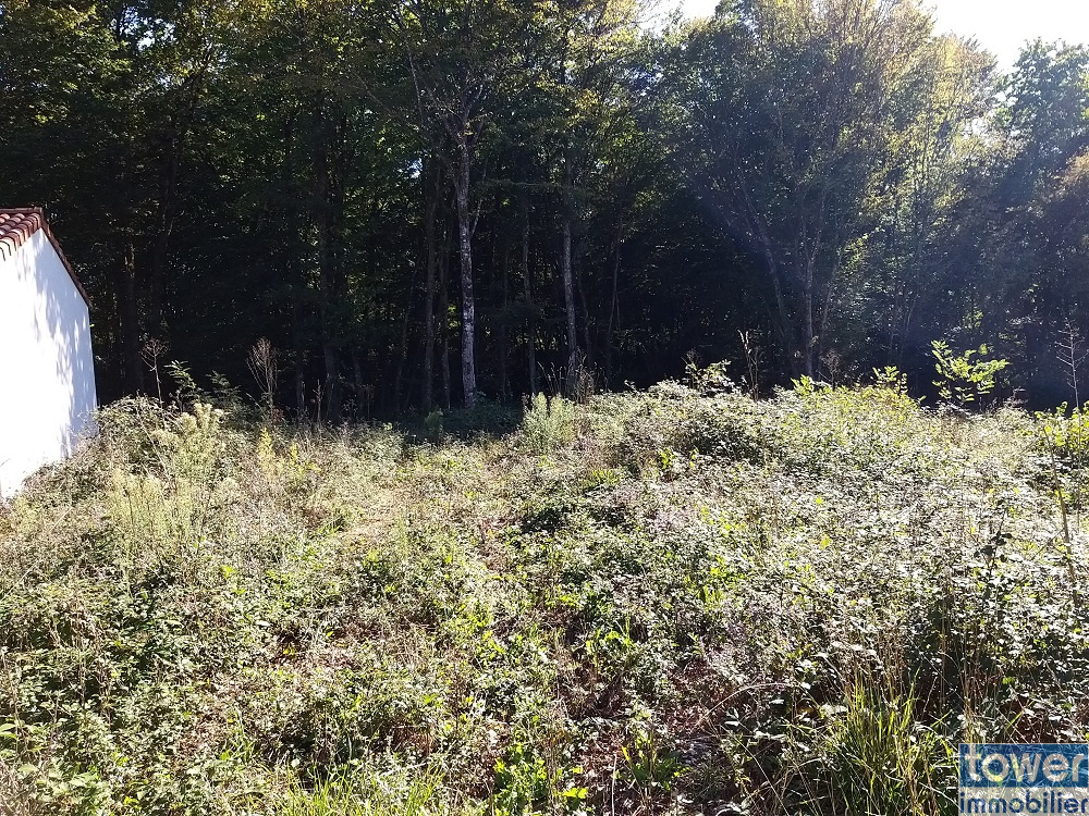 Terrain constructible et boisé - Commune de Pranzac