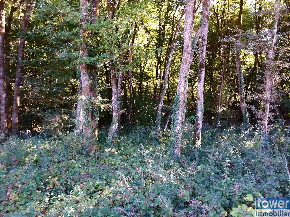 Terrain à construire à Pranzac