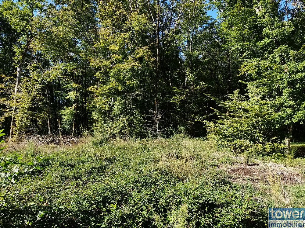 Terrain arboré constructible sur la commune de Pranzac
