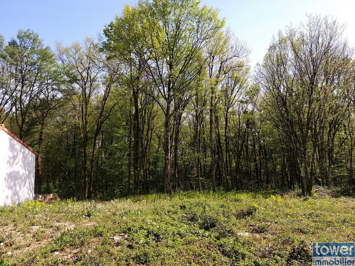 Terrain constructible et boisé - Commune de Pranzac en Charente