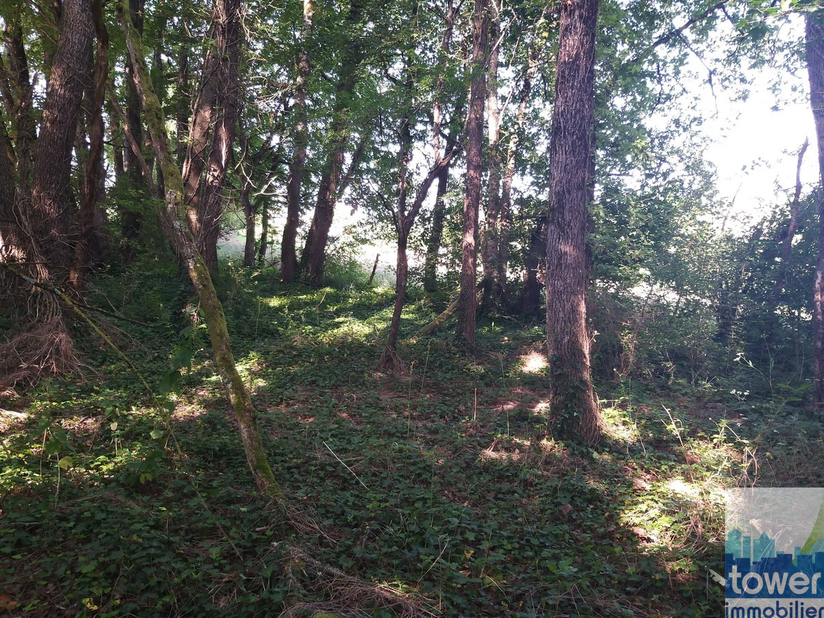 Terrain 7000 m2 à Garat avec une partie boisée