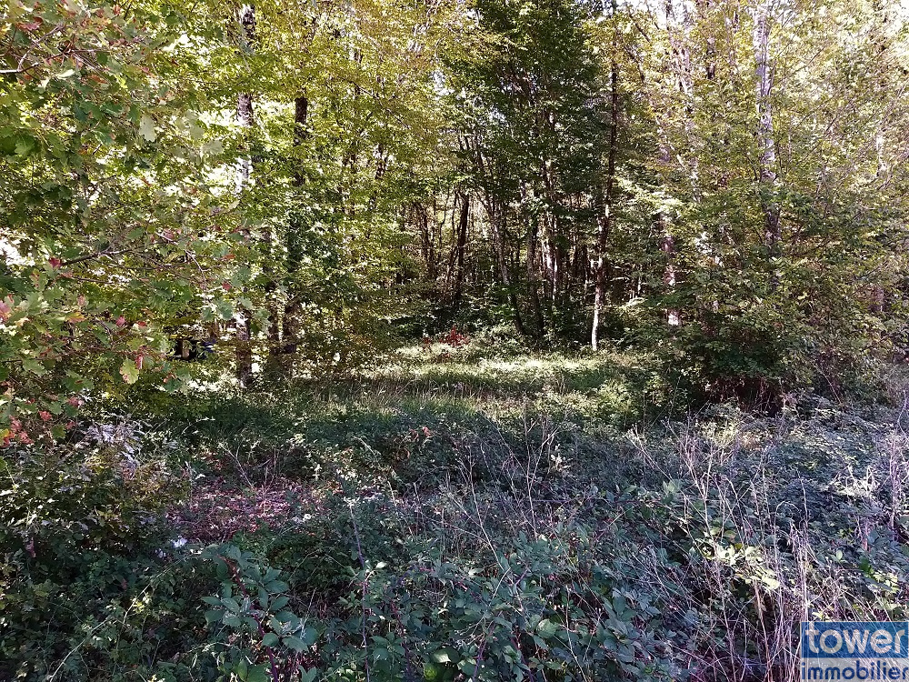 Terrain boisé et constructible à Pranzac en Charente