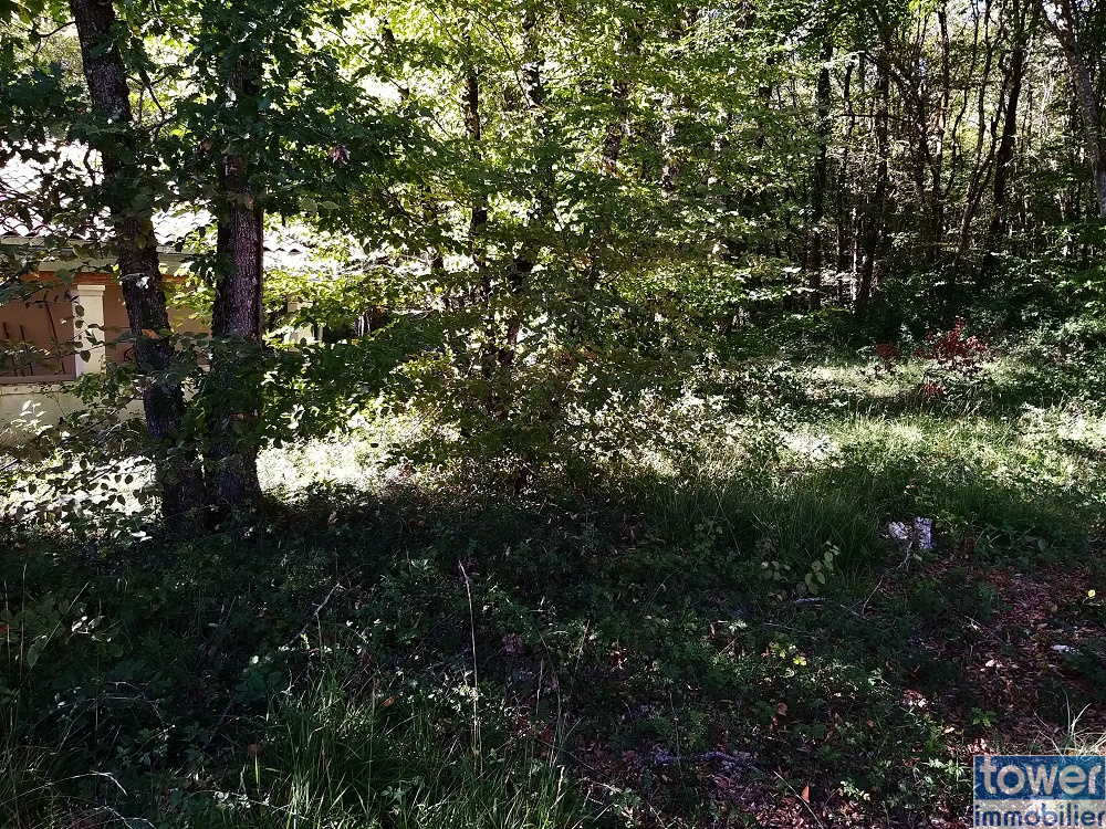 Terrain constructible à Pranzac avec sa zone d'ombre à conserver