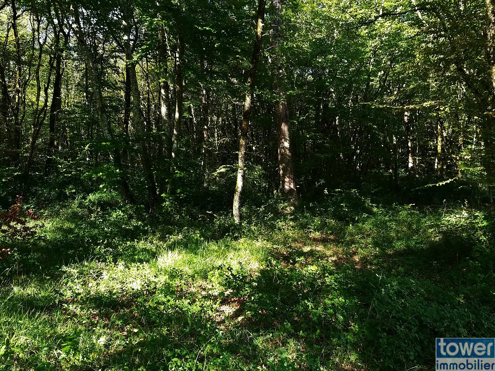 Terrain à bâtir proche du bourg de Pranzac