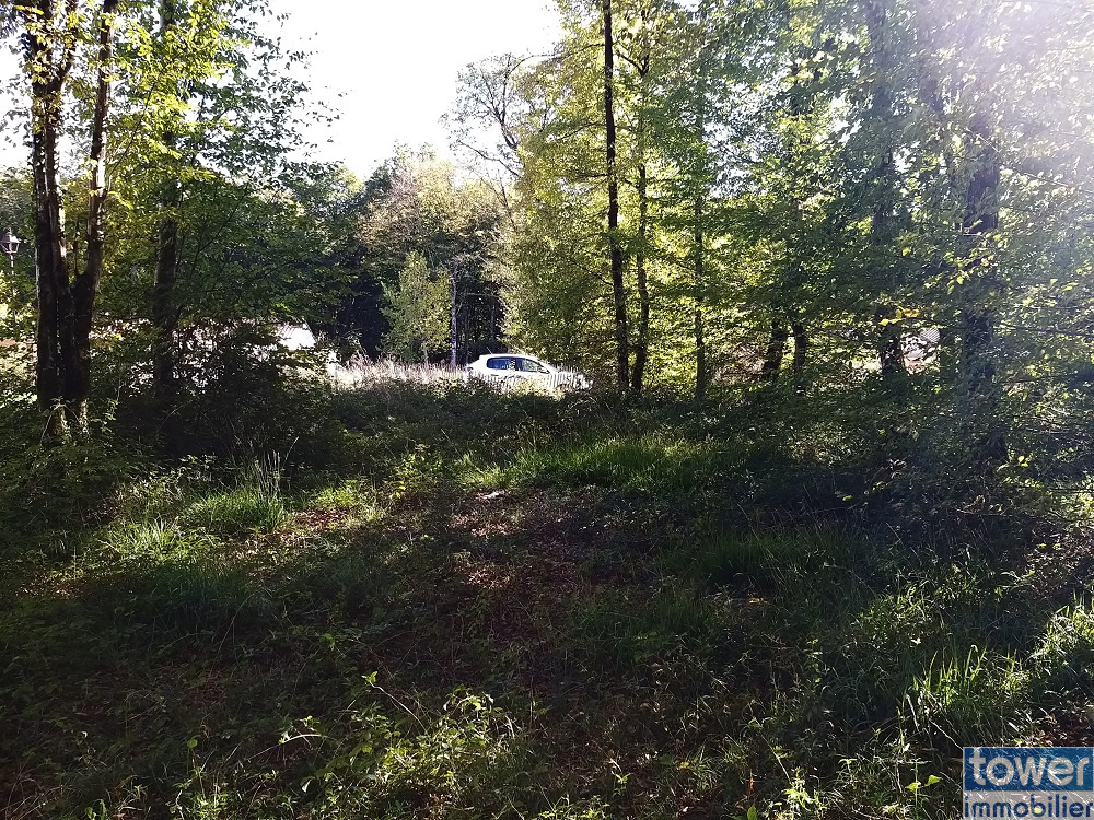 Terrain à construire à Pranzac - Vue depuis le fond du terrain en direction du Sud