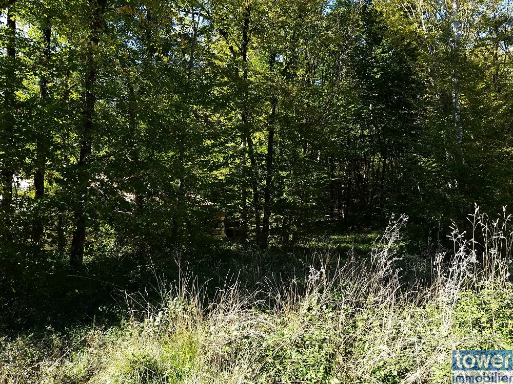 Terrain à construire à Pranzac avec sa partie boisée en fond de parcelle