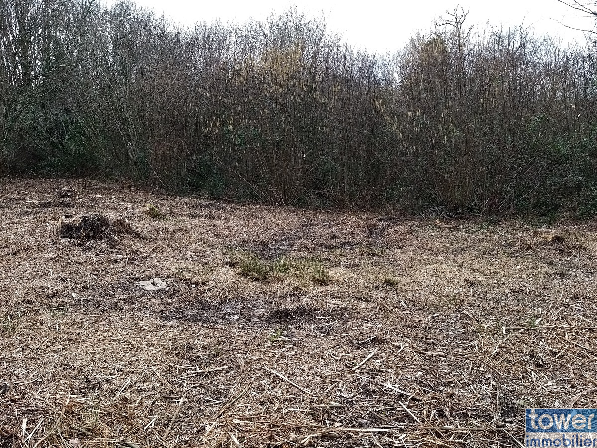 Terrain boisé à construire 2640 m2 à l'entrée de Sers