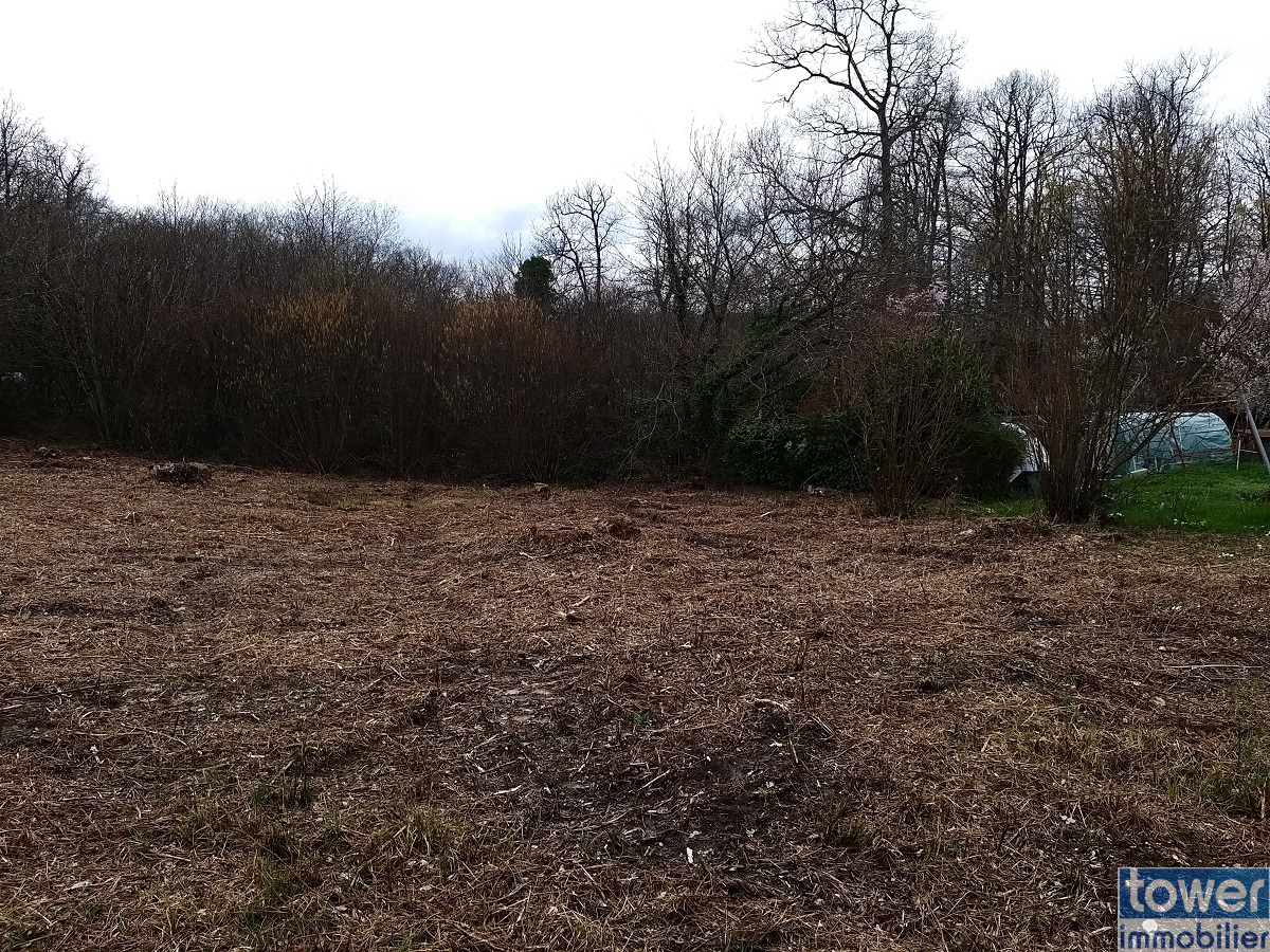 Terrain constructible à Sers - Vue prise en remontant vers l'entrée